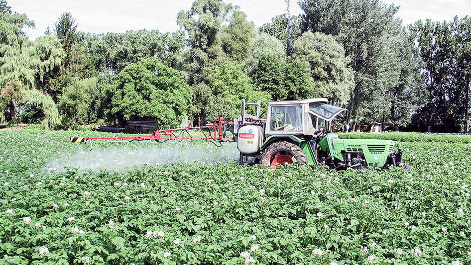 kartoffel_phytophthora_spritzen-946.jpg kartoffel_phytophthora_spritzen-946.jpg