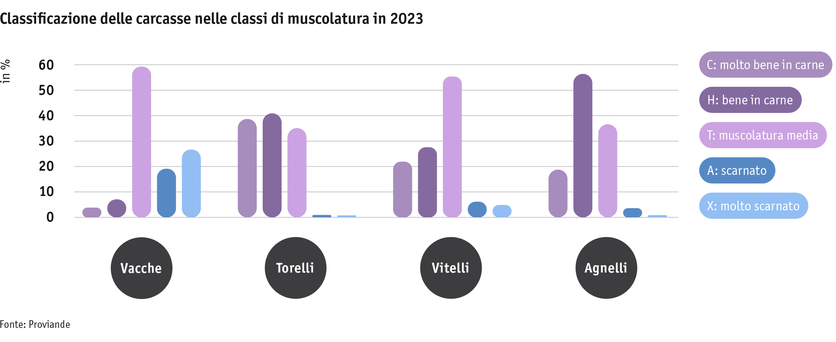 ab24_datentabelle_grafik_politik_prod_viehwirtschaft_fleischigkeitsklasse_i.png ab24_datentabelle_grafik_politik_prod_viehwirtschaft_fleischigkeitsklasse_i.png