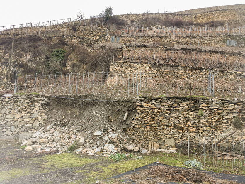 unwetter_mauer_img_5988.jpg